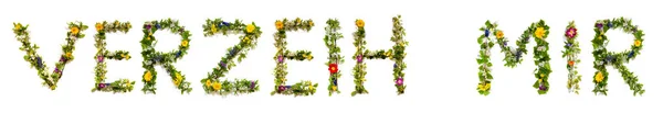 Blooming Flower Letters Building German Word Verzeih Mir Means Forgive — Stock Photo, Image