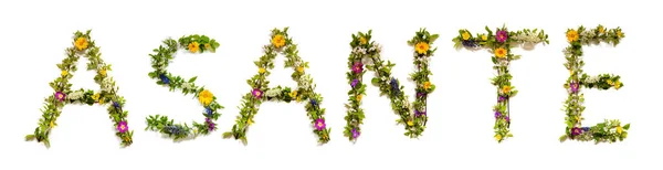 Flores Coloridas Construyendo Swahili Texto Asante Significa Gracias Español Algunas —  Fotos de Stock