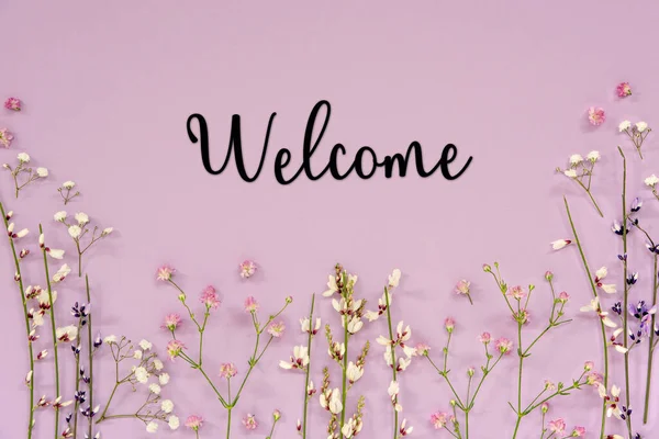 Weiße Und Lila Frühlingsblumen Mit Englischem Text Willkommen Lavendel Farbe — Stockfoto