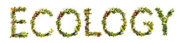 Flores Coloridas Que Constroem Texto Inglês Relaxe Algumas Flores Verdes — Fotografia de Stock