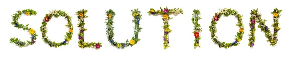 Квітучі Квіти Листи Будівництво Англійського Рішення Слів Барвисті Весняні Літні — стокове фото