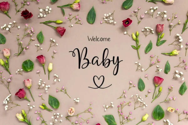 Disposizione Fiori Con Testo Inglese Benvenuto Baby Fiori Fiori Primaverili — Foto Stock