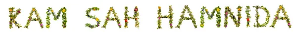 Barevné Květiny Budování Korejského Textu Kam Sah Hamnida Znamená Děkuji — Stock fotografie