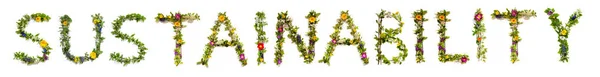 Πολύχρωμα Λουλούδια Οικοδόμηση Αγγλική Κείμενο Βιωσιμότητα Μερικά Πράσινα Και Μερικά — Φωτογραφία Αρχείου