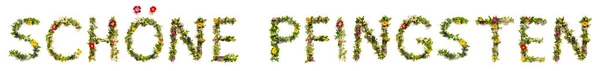 Ανθισμένα Γράμματα Λουλουδιών Που Χτίζουν Γερμανική Λέξη Schoene Pfingsten Σημαίνει — Φωτογραφία Αρχείου