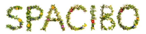 Πολύχρωμα Λουλούδια Οικοδόμηση Ρωσικό Κείμενο Spacibo Μέσα Σας Ευχαριστώ Στα — Φωτογραφία Αρχείου