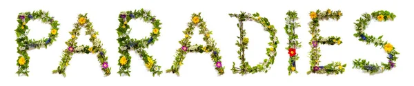 Πολύχρωμα Λουλούδια Οικοδόμηση Γερμανικών Παραστάσεις Κειμένου Σημαίνει Παράδεισος Στα Αγγλικά — Φωτογραφία Αρχείου