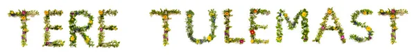 Kolorowe Kwiaty Budowa Estońskiego Tekstu Tere Tulemaast Oznacza Witamy Języku — Zdjęcie stockowe