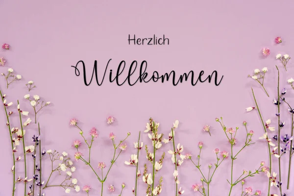ドイツ語で白と紫の春の花のアレンジメント Herzlich Willkommen手段ようこそ ラベンダーカラーペーパーの背景 — ストック写真