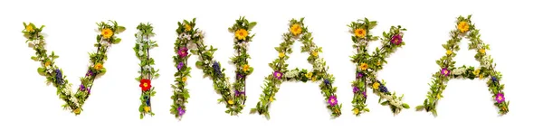 Bunte Blumen Gebäude Fidschi Text Vinaka Bedeutet Danke Auf Englisch — Stockfoto