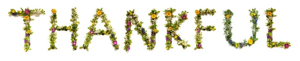 Floreciente Flor Cartas Construcción Inglés Palabra Agradecido Coloridas Flores Primavera —  Fotos de Stock