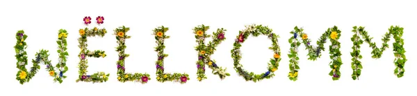 Πολύχρωμα Λουλούδια Κτίριο Luxembourgish Κείμενο Wellkomm Σημαίνει Καλώς Ήρθατε Στα — Φωτογραφία Αρχείου