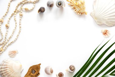 Beyaz Yaz Yatağı, Top View, Kabuk ve Bitkilerle süslenmiş, Copyspace