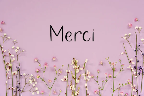 フランス語で白と紫の春の花のアレンジメントテキストメルシー手段ありがとう ラベンダーカラーペーパーの背景 — ストック写真