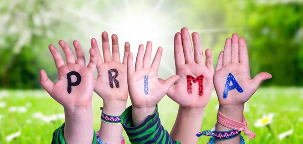 Dzieci Hands Building Kolorowe Niemieckie Słowo Prima Oznacza Super Słoneczna — Zdjęcie stockowe