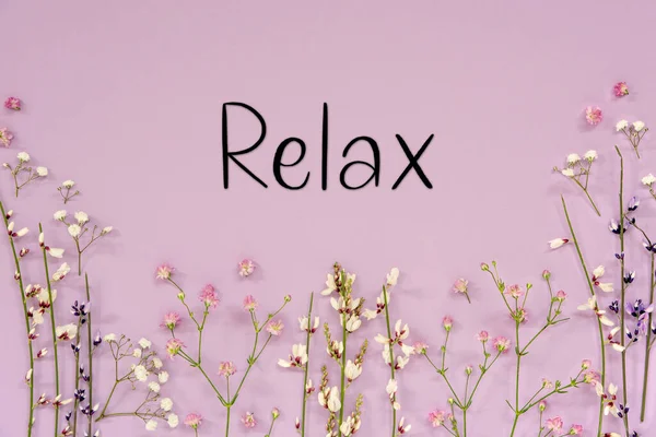 Vit Och Lila Vårblomsterarrangemang Med Engelska Text Relax Lavendel Färg — Stockfoto