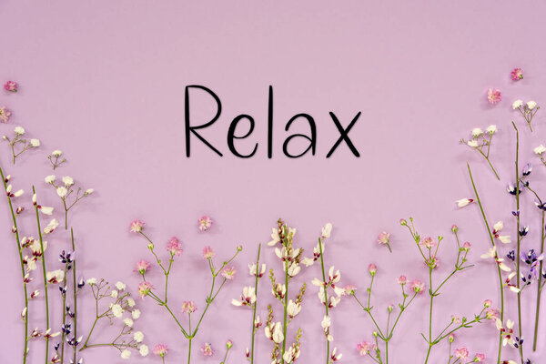 Белый и фиолетовый весенний цветок. Цвет лаванды