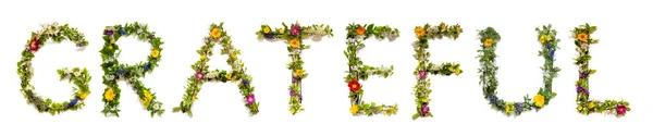 Blooming Flower Letters Building English Word Grateful Barevné Jarní Letní — Stock fotografie