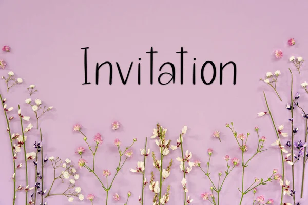 White Purple Spring Flower Arrangement English Invitation Цвет Лаванды — стоковое фото
