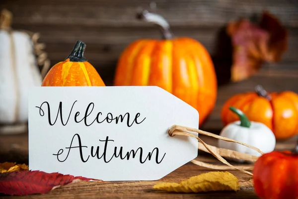 Autumn Decoration Orange Pumpkins Rustic Fall Decoration Label Text Welcome — Stock Photo, Image