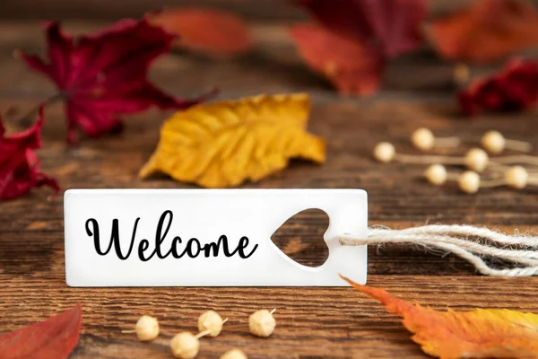 2016 Autumn Fall Background Label English Text Welcome Colorful Autumn — 스톡 사진