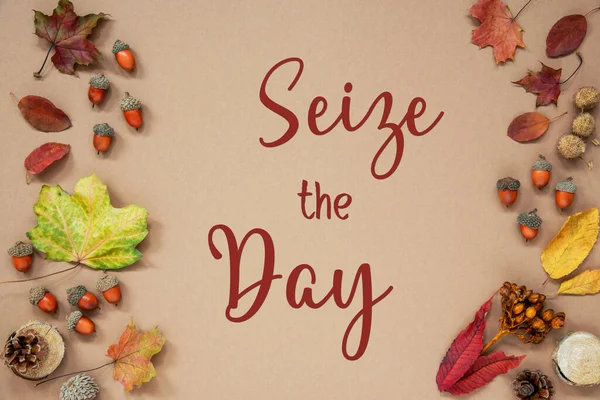 Autumn Background Autumn Decoration Acorns Fall Leaves Text Seize Day — Stock Photo, Image