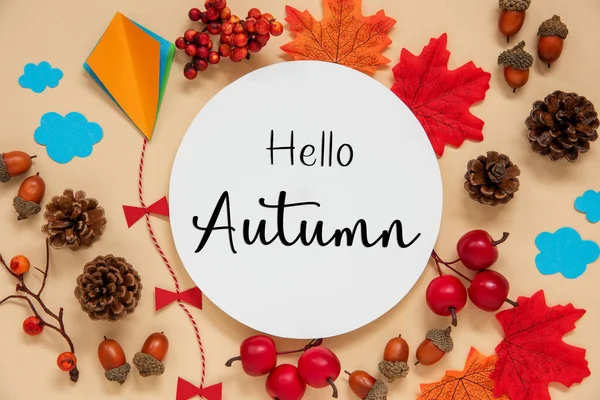 Herbstdekoration Bunte Herbstblätter Und Basteldrachen Rundes Etikett Mit Text Hallo — Stockfoto