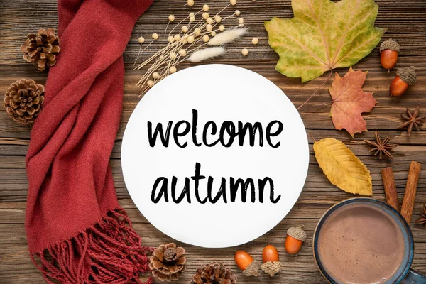 Autumn Decoration Flat Lay Colorful Maple Leaves Cozy Atmosphere Label — Stock Photo, Image