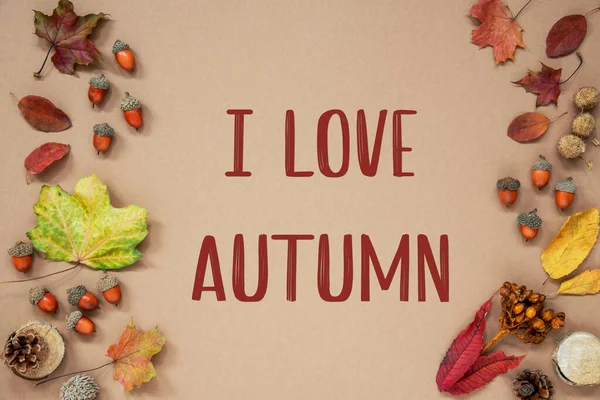 Autumn Background Autumn Decoration Acorns Fall Leaves Text Love Autumn — Stock Photo, Image