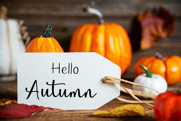 Autumn Decoration Orange Pumpkins Rustic Fall Decoration Label Text Hello — Stock Photo, Image