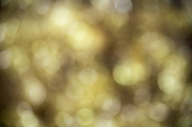 Özümsenmemiş, Altın Bokeh Noel Arkaplanı