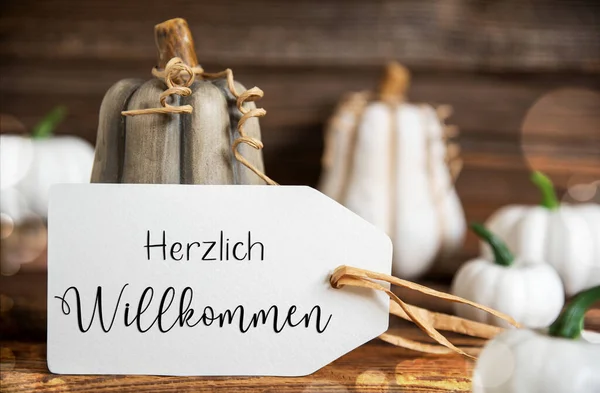 秋の装飾 ポンプキンス ドイツ語のテキストヘルツリヒウィラニカとラベル付きのロスティックな秋の装飾 これは英語で歓迎されています — ストック写真