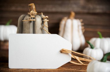 Pumpkins ile Sonbahar Dekorasyonu, Etiket Metni Kopyalama Alanıyla Kırsal Sonbahar Dekorasyonu