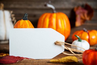 Turuncu Balkabaklarıyla Sonbahar Dekorasyonu, Etiket Kopyalama Alanıyla Kırsal Sonbahar Dekorasyonu