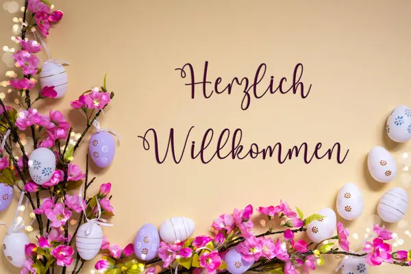 德语文本Herzlich Willkommen意为 欢迎来到米色背景 用复活节彩蛋装饰粉红紫色 清澈明亮的春花布置 图库图片
