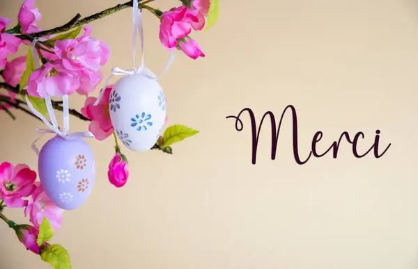 美丽的复活节彩蛋装饰与春天的花朵 法文文本Merci意为 季节性复活节假期贺卡 图库图片