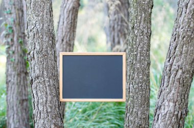 Close-up of a blackboard with copy space placed among the trees. Nature concept.