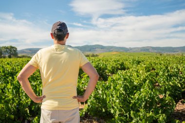 Rear view of a satisfied farmer with hat standing in his vineyard and copy space