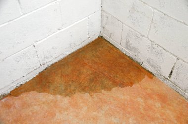 A basement that begins to filter water from the wall to the ground