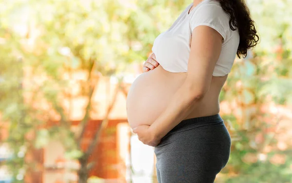 Buik Van Een Zwangere Vrouw Een Lichte Natuurlijke Achtergrond — Stockfoto