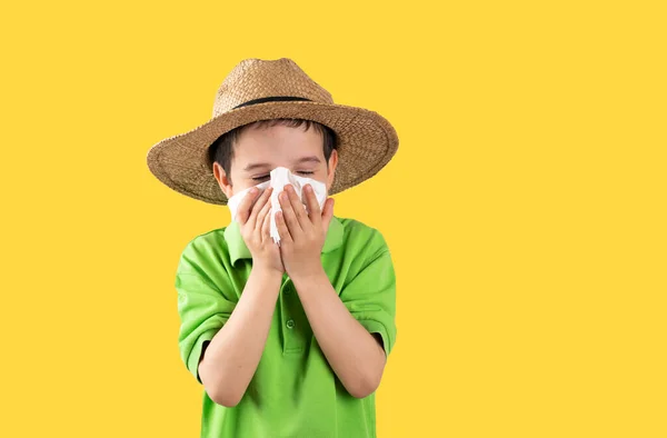 Gyermek Kalapban Fúj Törlőkendő Szenved Influenza Tünetei Sárga Alapon — Stock Fotó