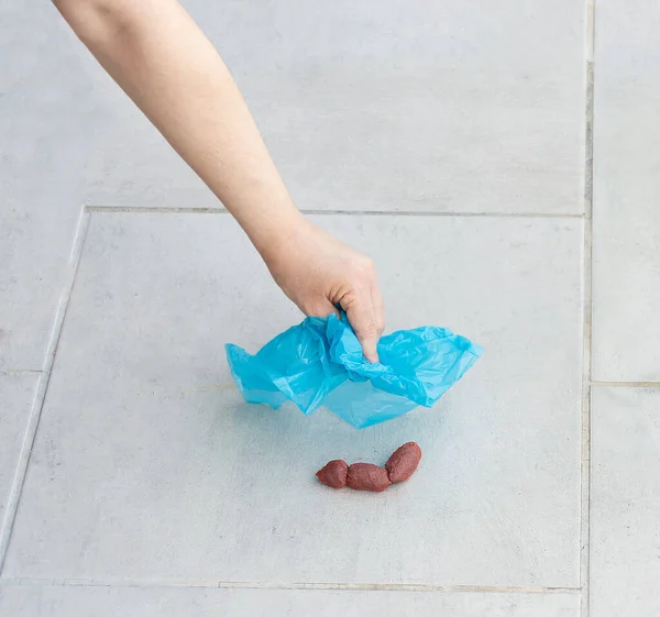 Closeup Hand Man Picking Some Dog Poop Blue Bag — Stock Photo, Image