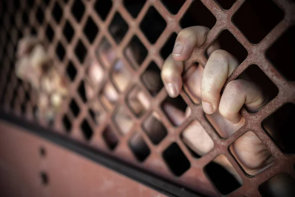 Close Mature Woman Prison Cell — Stock Photo, Image