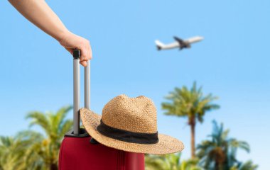Kırmızı valizli bir kadın, yolcu merdiveninde, denizin karşısında palmiye ağaçlarıyla bekliyor. Turizm konsepti