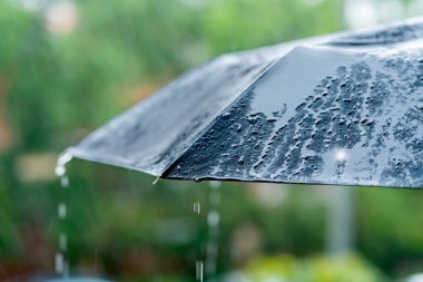 Yağmur damlaları yağıyor ve yağmur yağarken siyah şemsiyeye sıçrıyor..