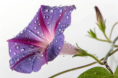 Çilekler, portakallar ve yeşil yapraklı sebzeler de dahil olmak üzere canlı meyvelerle dolu büyük, şeffaf bir kapsülün aşırı gerçekçi bir görüntüsü.