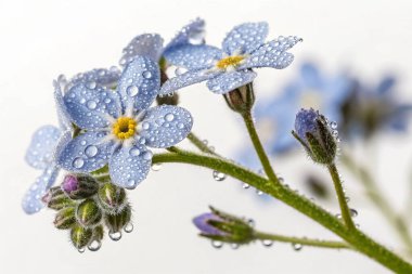 Çilekler, portakallar ve yeşil yapraklı sebzeler de dahil olmak üzere canlı meyvelerle dolu büyük, şeffaf bir kapsülün aşırı gerçekçi bir görüntüsü.