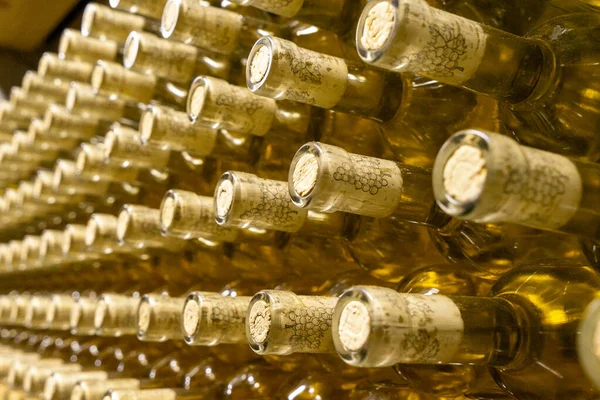 Botellas Vino Blanco Preparadas Para Maduración Una Bodega — Foto de Stock
