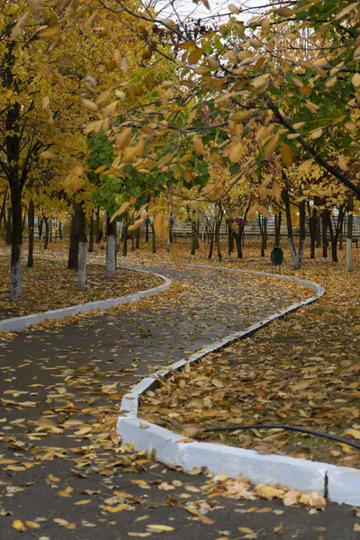 İnsansız bir patika, sonbahar parkında sonbahar sarısı yapraklarla kaplı bir virajın etrafında dönüyor.