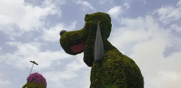 Dubai, BAE 'deki bitkilerden yapılmış Miracle Garden sanat enstalasyonları